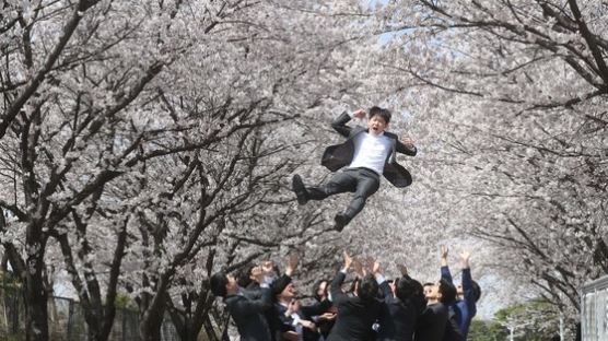 [서소문 사진관]아시아나항공 신입사원들 벚꽃하늘을 날다.