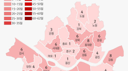 서울 미세먼지, WHO 기준 따르면 올해 100일 중 48일 ‘기준 초과’ 