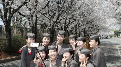 [사진] 벚꽃 셀카 찍는 승무원들