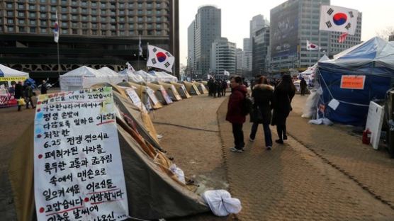 서울시청, 광장 '탄핵반대 텐트' 놔두고 잔디 심기로