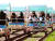 지난 11일 인천 가좌고 학생들이 도고온천역에 설치 된 레일바이크를 타고 있다. [사진 아산레일바이크]