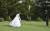 지난해 10월 평양오픈투어 중. 평양골프장은 결혼사진 촬영지로 인기가 많다. [루파인 트래블 페이스북]