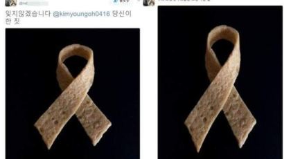 세월호 유가족 슬픔에 잠긴 날, 일부 네티즌 도 넘은 조롱