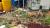 전남 강진의 한 식당 주인이 인근 텃밭에 상추, 쑥갓 등과 함께 심은 양귀비. [사진 전남지방경찰청]