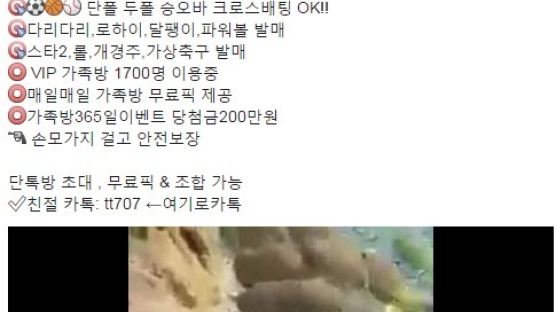 부산 '지진 전조현상' 괴담, 최초 근원지는 도박사이트 홍보팀