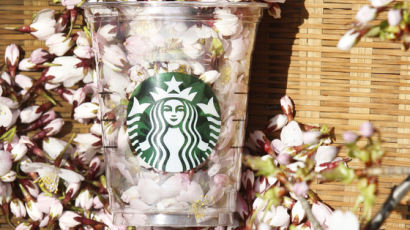스타벅스 커피에 들어가는 국산 벚꽃의 비밀