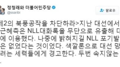 정청래 "색깔론으로 대선 망치려하지 말라"