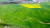 19일 드론으로 촬영한 전북 고창군 공음면 청보리밭. 서울 여의도 면적(2.9㎢)의 3분의 1이나 되는 드넓은 대지(100만㎡)에 파랗게 물든 보리밭이 펼쳐져 있다. 프리랜서 장정필 