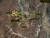 지난 19일 촬영된 위성사진에 포착된 북한 풍계리 핵실험장 인근의 활동 징후. [사진 38노스 홈페이지 캡처]