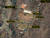 지난 19일 촬영된 위성사진에 포착된 북한 풍계리 핵실험장 인근의 활동 징후. [사진 38노스 홈페이지 캡처]