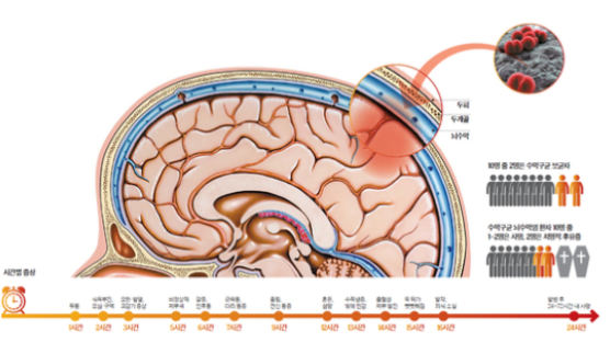 [건강한 가족] 감기 같은 뇌수막염 놔두면 큰일, 백신 한 방 맞으면 쉽게 막죠