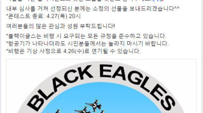 서울 한복판 전투기 굉음…알고보니 '블랙 이글스' 훈련 비행