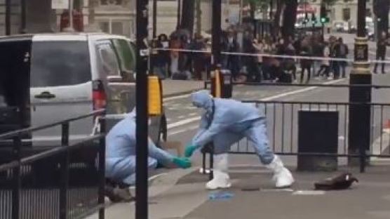 런던 국회의사당서 흉기 소지 남성 체포...'테러 준비 혐의'