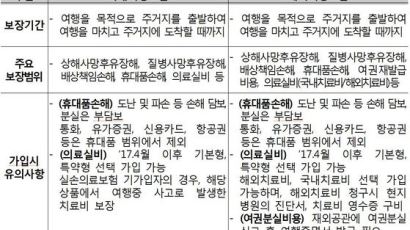 휴대폰·여권 분실, 해외 지출 의료비도 챙겨주는 여행자보험 알아보세요