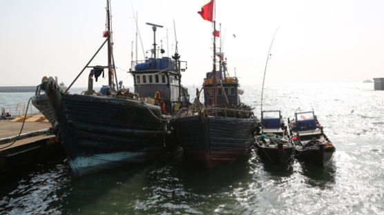 중국 어선 ‘싹쓸이 조업’ … 세네갈 어부는 빈 그물만 걷는다