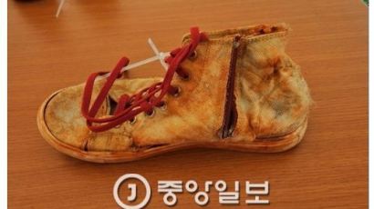국과수, 세월호 침몰해역서 발견된 뼛조각 '사람 뼈' 육안 확인