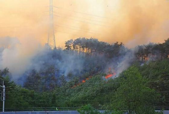 강릉 대관령 대형 산불… 민가 30채 불타고 주민 수백명 대피
