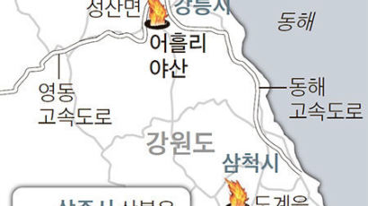 강릉·삼척·상주 산불, 골든타임 또 놓쳤다