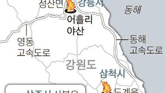 강릉·삼척·상주 산불, 골든타임 또 놓쳤다