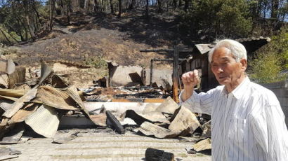  집 잃은 강릉 산불 화재 이재민들 "그래도 투표해야죠"