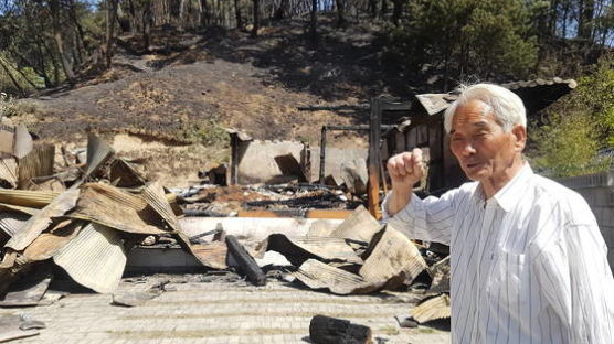  집 잃은 강릉 산불 화재 이재민들 "그래도 투표해야죠"
