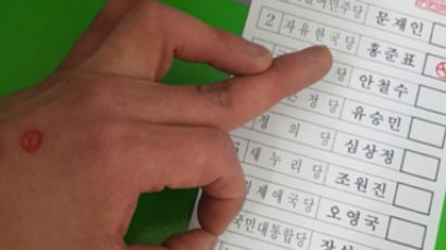 일베 회원, 기표소 內 투표용지 인증샷 공개해 논란…사진 보니 