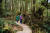 열대우림 속을 산책할 수 있는 핫 스프링스 코브.