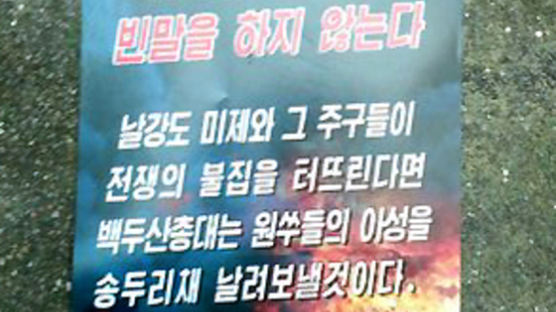 서울 중랑구서 대남선전용 '삐라'수천장·찬양CD 발견
