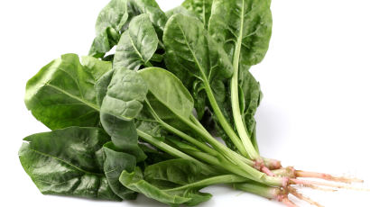 대장암 예방 효과 탁월한 채소는 녹색·흰색 