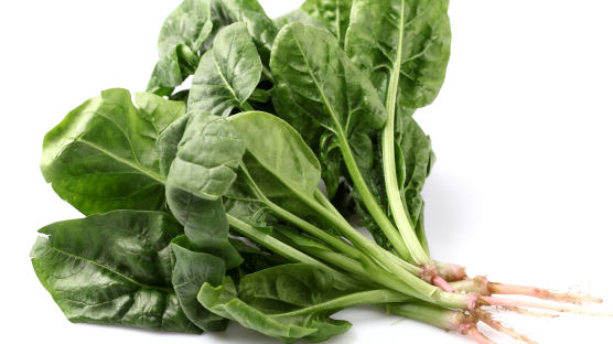 대장암 예방 효과 탁월한 채소는 녹색·흰색 