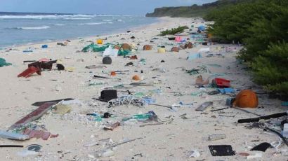 '남태평양의 보석' 산호섬에 플라스틱 쓰레기 3800만점