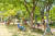 양천구의 ‘아빠공원’은 아빠와 아이들이 함께 즐길 수 있는 놀이터다. [사진 양천구청]