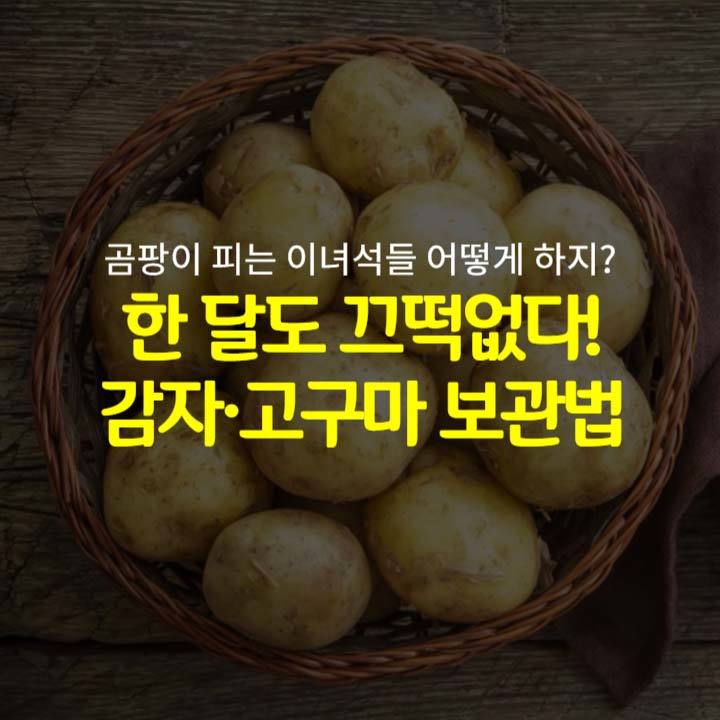 한 달도 끄떡없는 감자·고구마 보관법 | 중앙일보