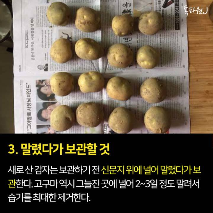 한 달도 끄떡없는 감자·고구마 보관법 | 중앙일보