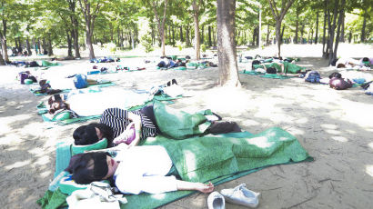 [서소문사진관] 청춘남녀 50명, 숲속에서 단체로 낮잠을?