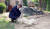 문재인 대통령이 양산 사저에 도착해 사저 마당에 있는 마루를 만지고 있다. [사진 청와대]
