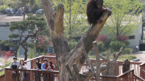 동물원 운영자 동물 학대하면 1년 이하 징역