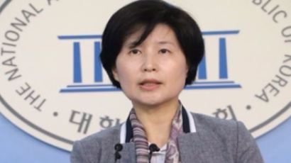 민주 "朴 직무정지기간 靑 특수활동비 35억 써...조사해야"