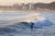 양양 죽도해변에서 피서객이 서핑을 즐기고 있는 모습. [사진 양양군]