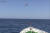 동해해경 1513함 앞에서 고속단정 2척이 북한 소형선박에 접근하고 있다. [사진 국민안전처]