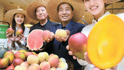 [사진] 명인들이 재배한 과일