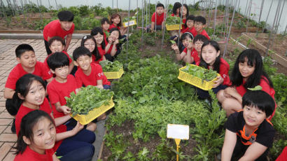 [르포]서울 응암초 학생들 채소 섭취 확 늘어난 이유는