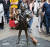 미국 뉴욕 월가에 위치한 &#39;두려움 없는 소녀&#39;와 &#39;오줌싸는 개&#39; 동상