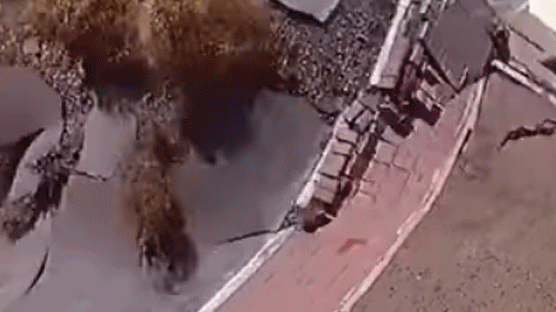 우크라이나서 수도관 폭발해 도로 뒤집힌 영상 포착 