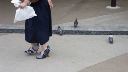 "비둘기와 친해지고 싶어?" 日여성이 만든 하이힐 화제