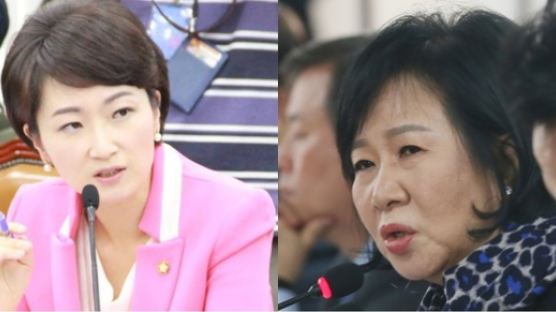 이언주 "문자 폭탄, 다른 의미의 박사모" vs 손혜원 "반성부터 해라"