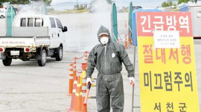  제주서 고병원성 AI 간이검사 '양성' 추가 발생…12만 마리 살처분 예정