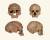북아프리카 모로코에서 발견된 현생 인류 호모 사피엔스의 화석들. 연대 측정 결과 28만~35만 년 전 것으로 나타났다. [사진 영국 런던 자연사박물관]