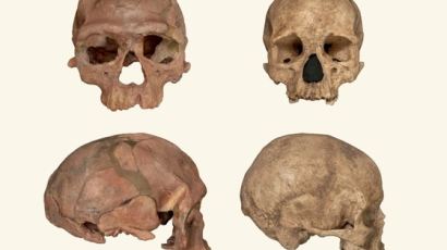 31만5000년 전 ‘호모 사피엔스’ 화석 첫 발견…"아프리카 전역이 에덴동산"