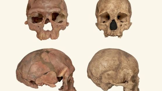 31만5000년 전 ‘호모 사피엔스’ 화석 첫 발견…"아프리카 전역이 에덴동산"